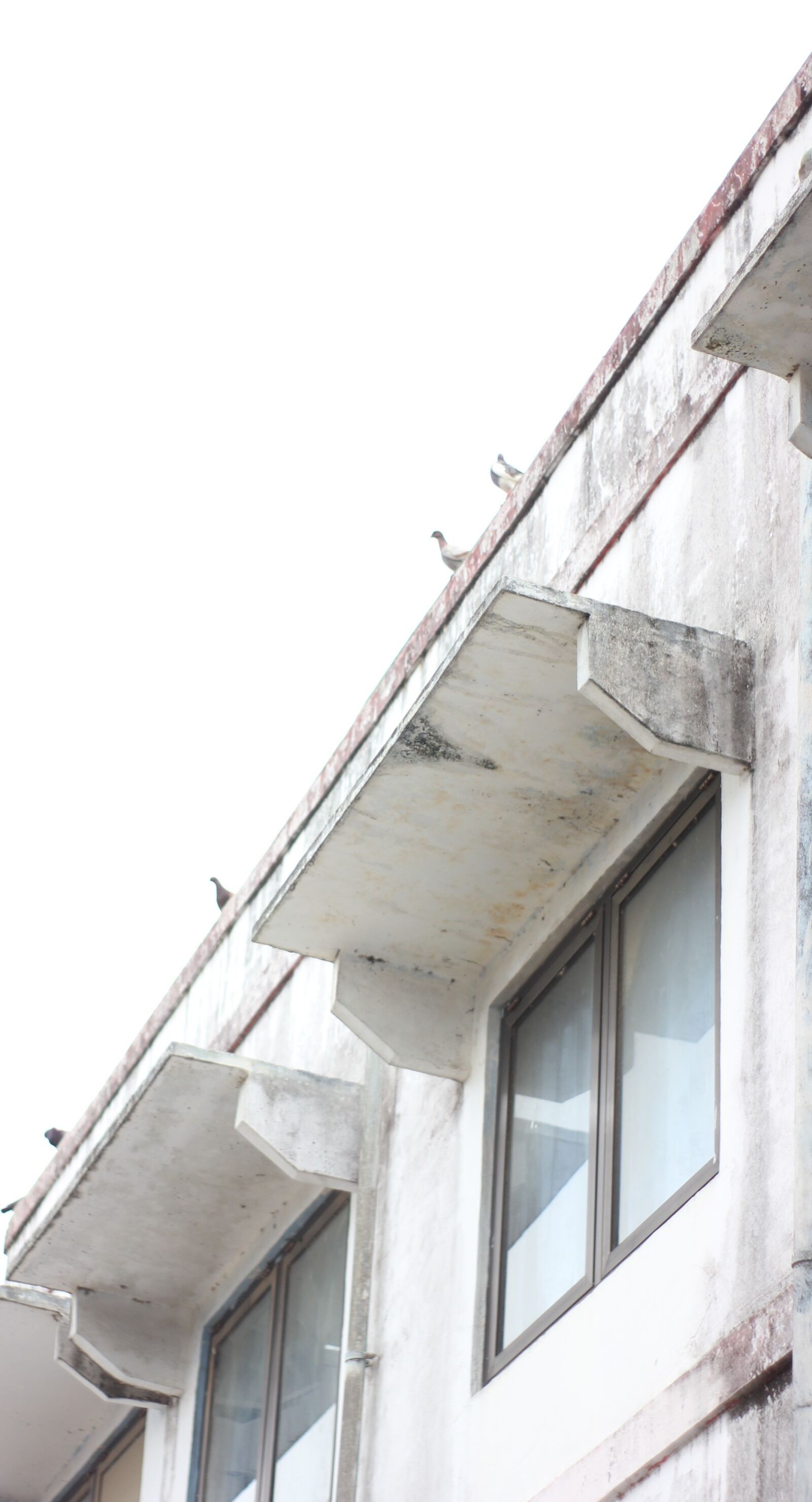 Canon EOS 550D (EOS Rebel T2i / EOS Kiss X4) sample photo. White, building, architecture photography