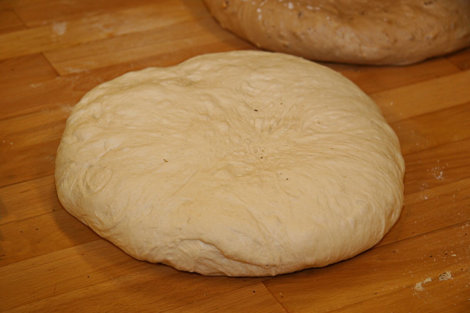 Canon EOS 20D sample photo. French gross bun, dough photography