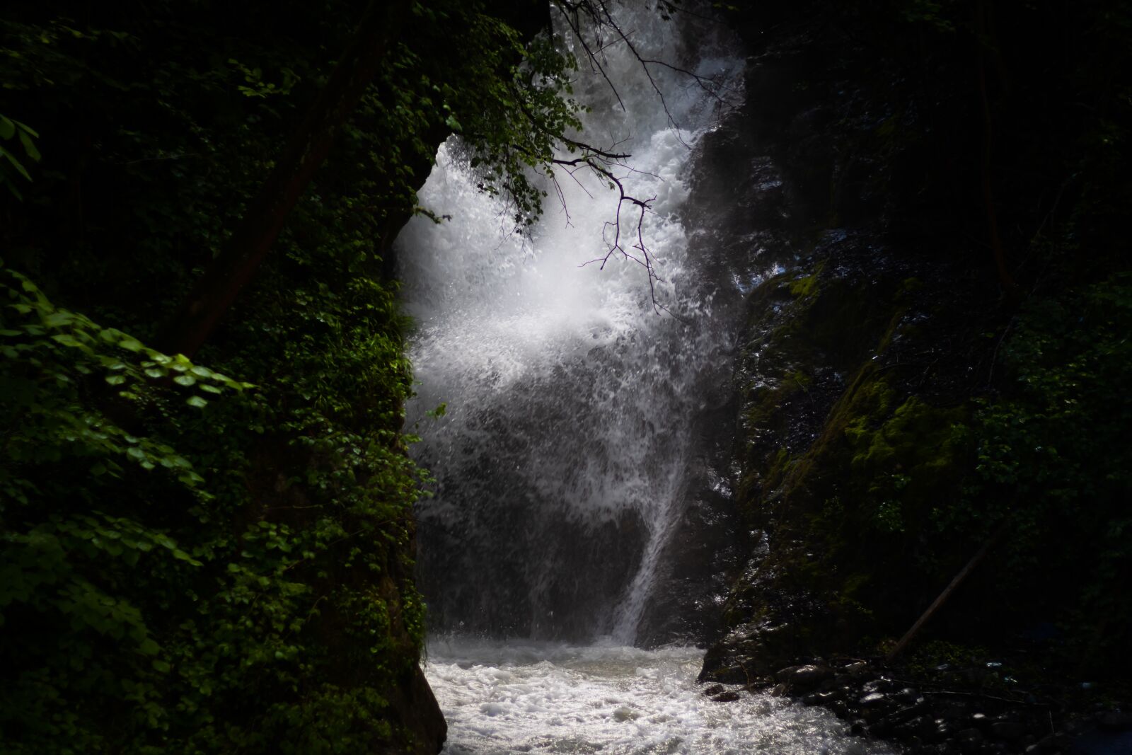 Canon EOS 250D (EOS Rebel SL3 / EOS Kiss X10 / EOS 200D II) sample photo. Leaves, waterfall, stream photography