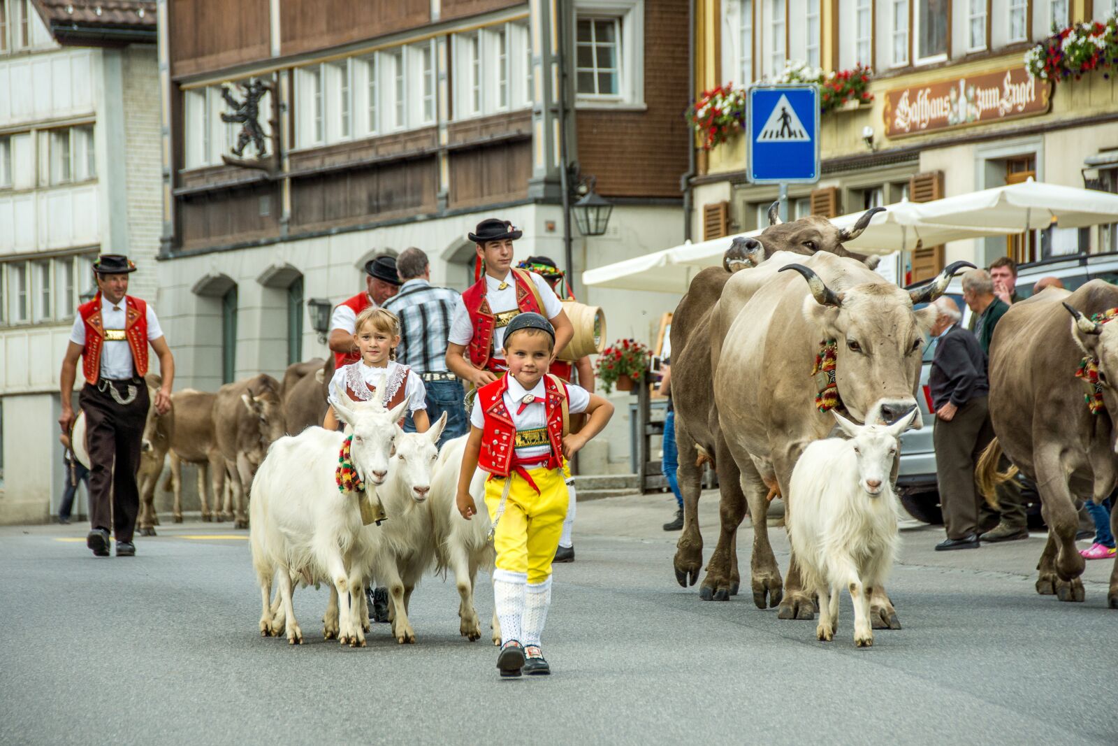 Sony SLT-A65 (SLT-A65V) sample photo. Leaders, descent, appenzell photography