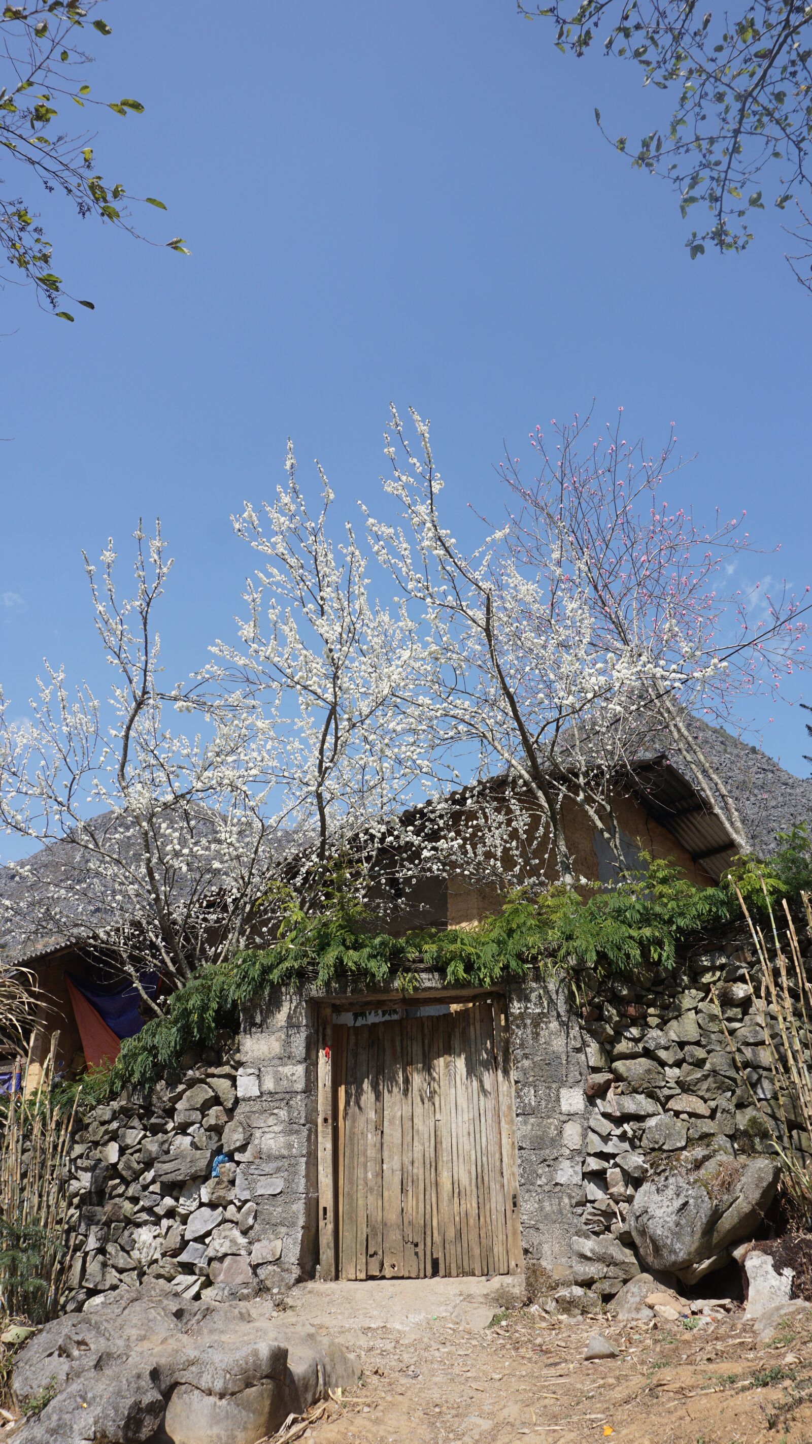 Sony a6000 sample photo. Hagiang, outdoor, landscape photography