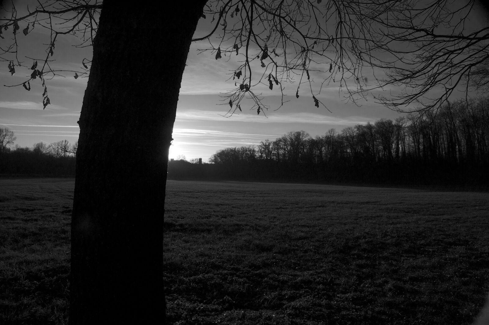 Nikon D50 sample photo. Monza, park, sunset photography