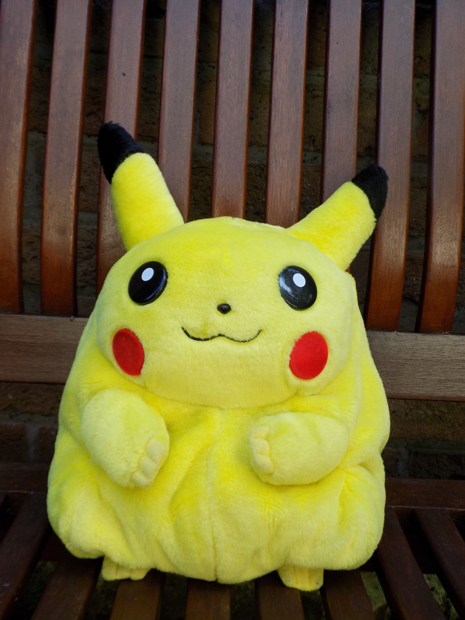Nikon COOLPIX L340 sample photo. Pikachu, pokemon, fictitious photography