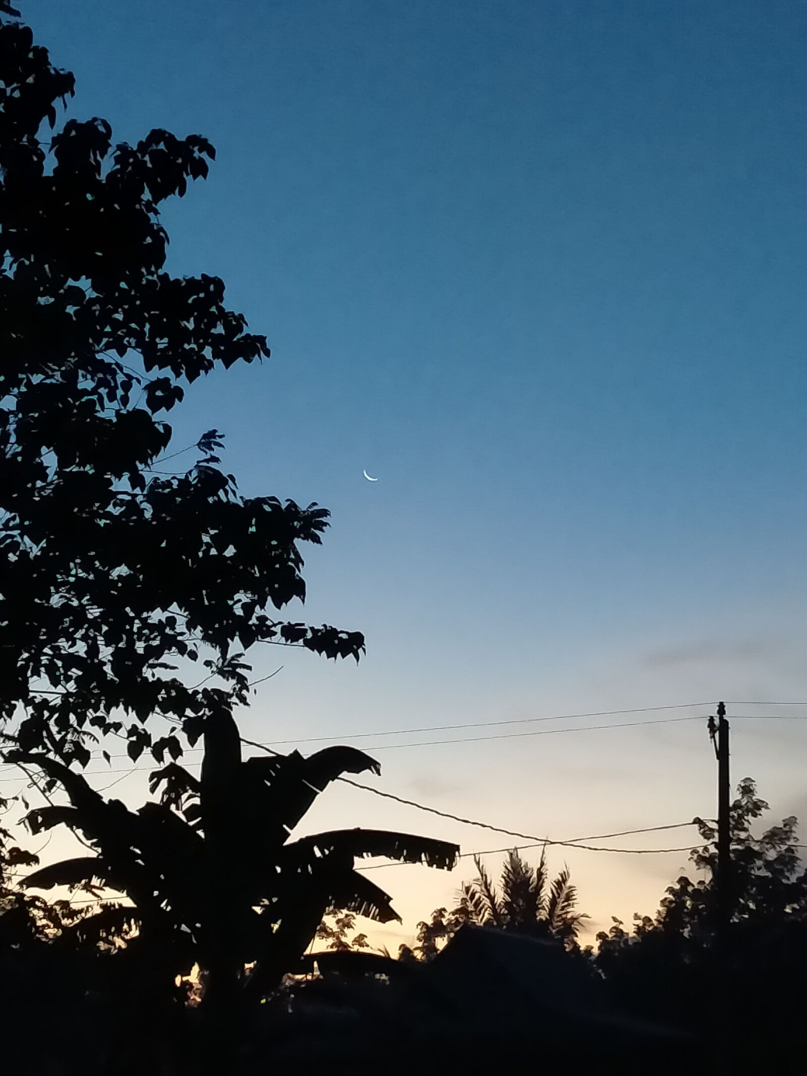 Realme 5I sample photo. Morning, good morning, beautiful photography