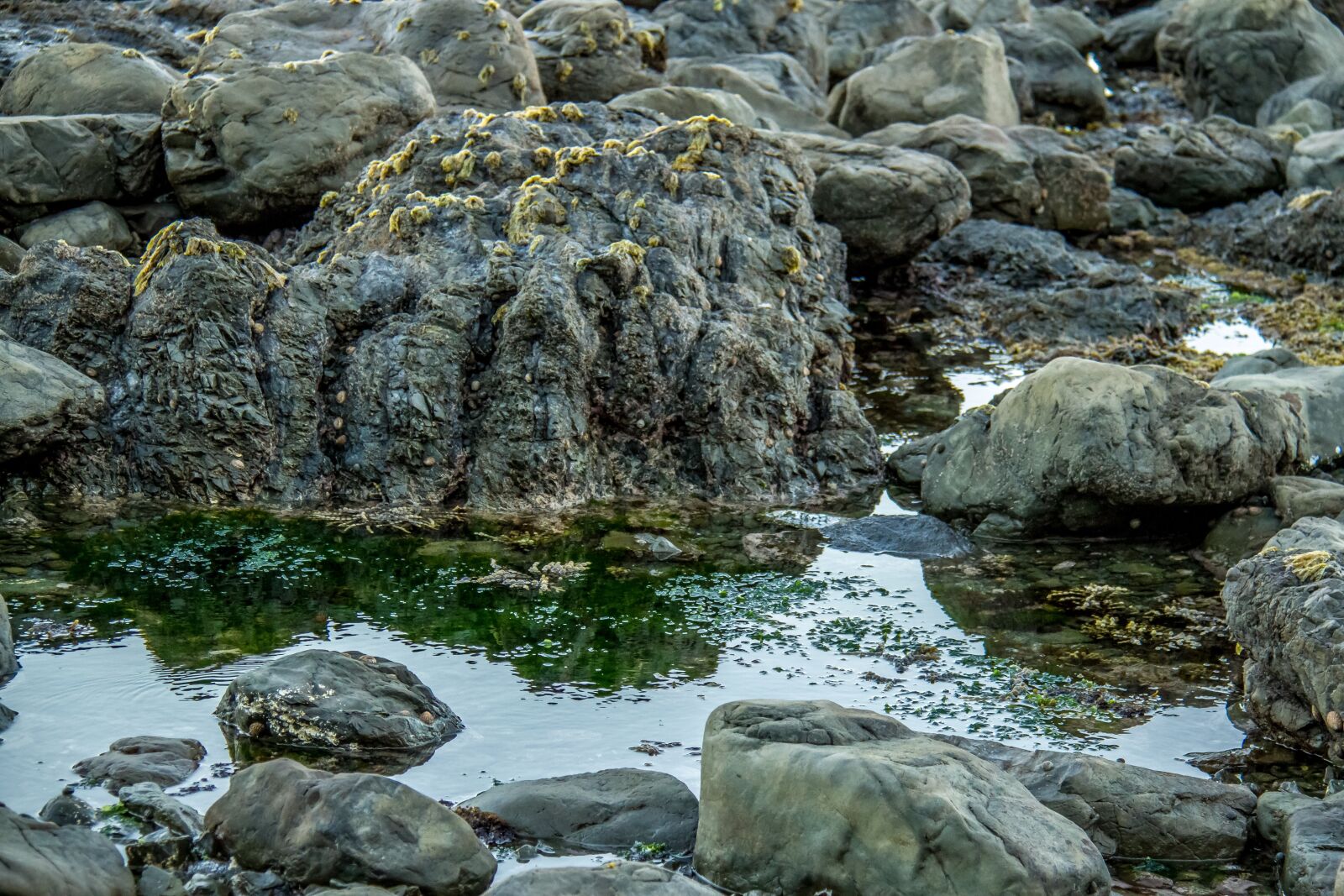 Canon EOS 7D sample photo. Sea, rocks, seabed photography