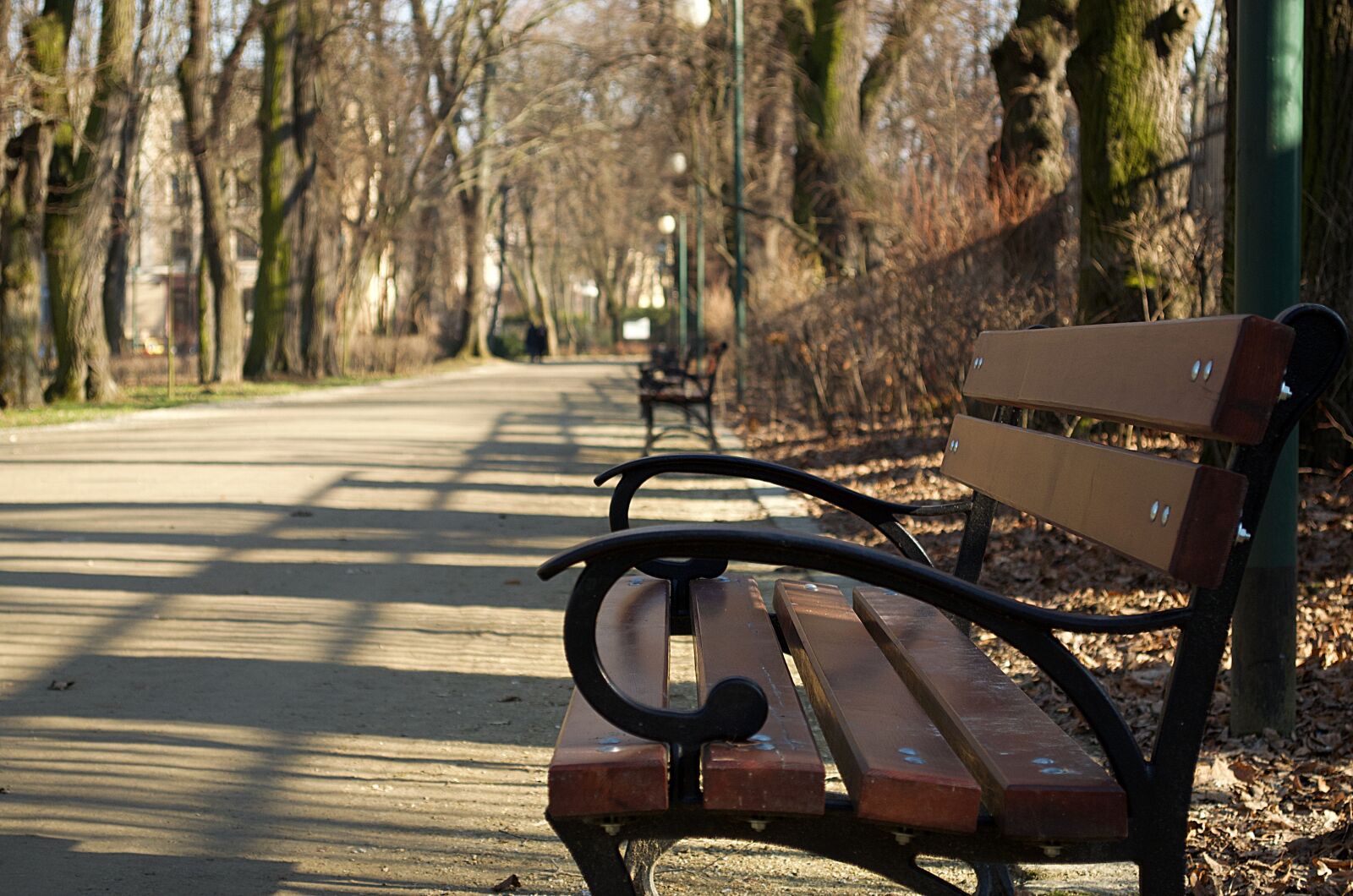 Nikon D5100 sample photo. Bench, park, tree photography