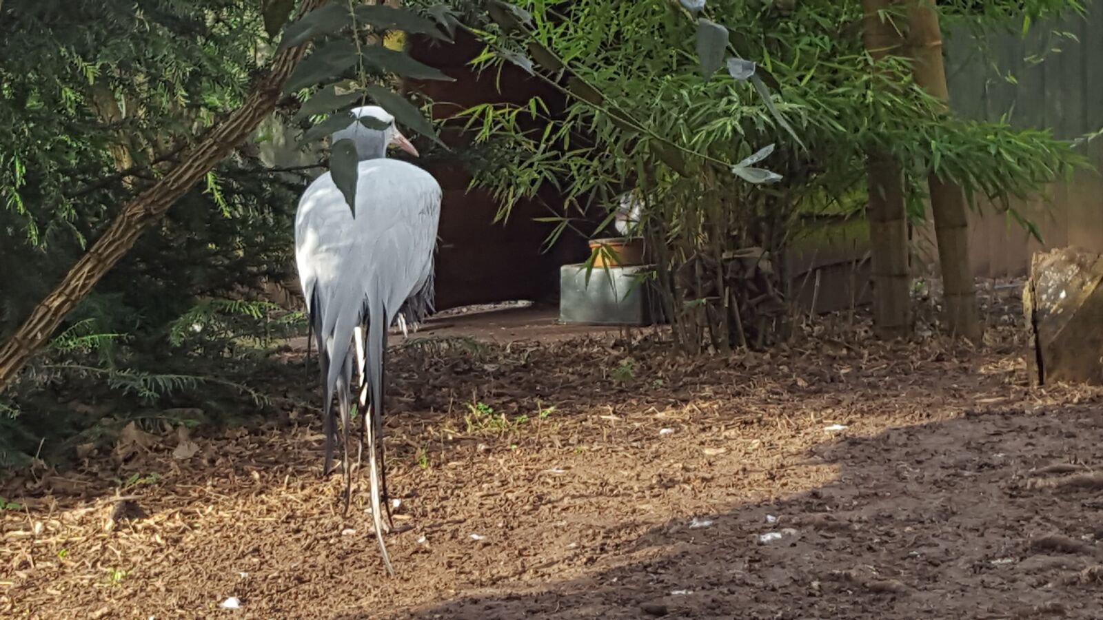 Samsung Galaxy S6 sample photo