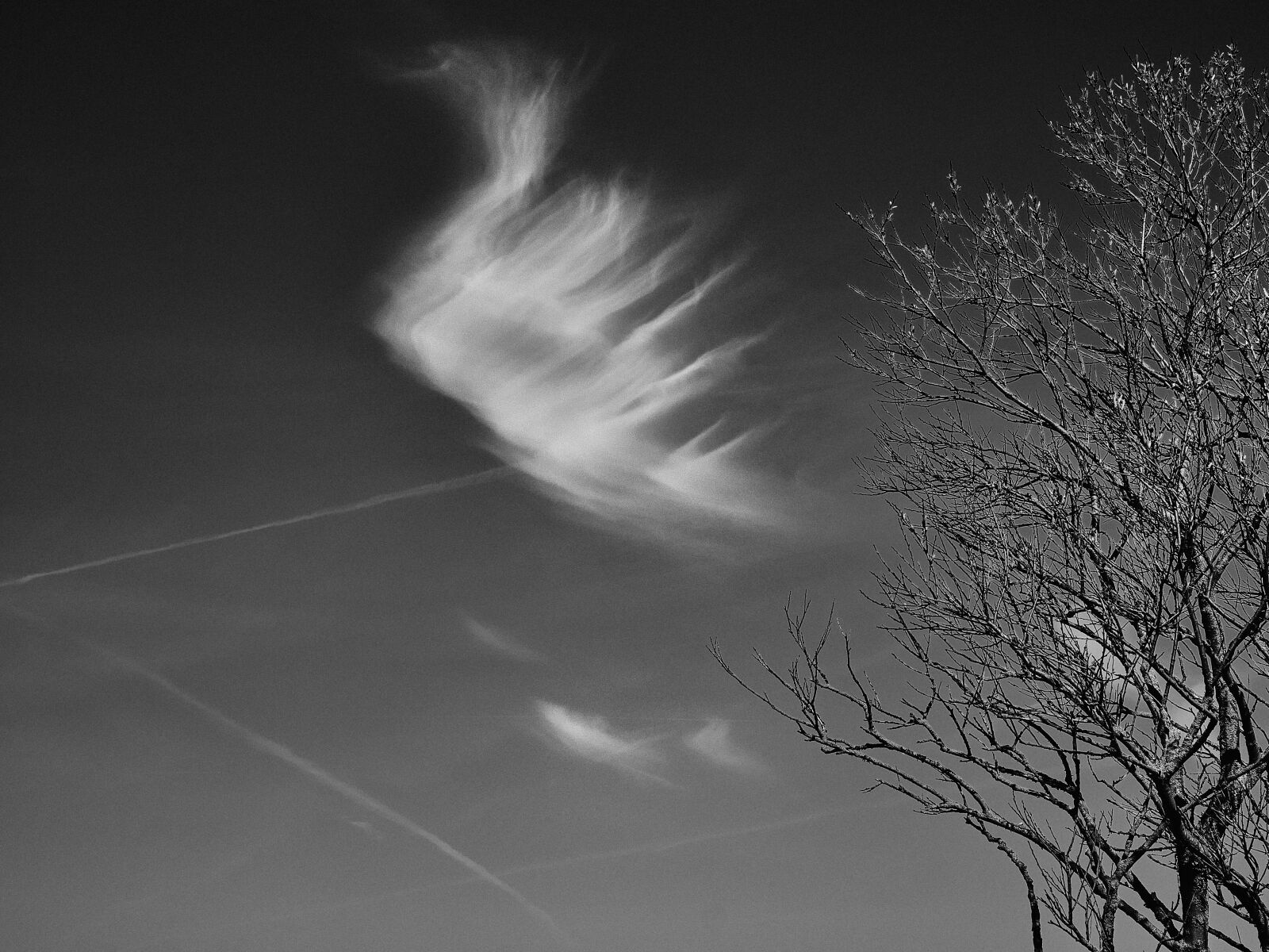 Fujifilm XF 56mm F1.2 R sample photo. Cloud, sky, tree photography