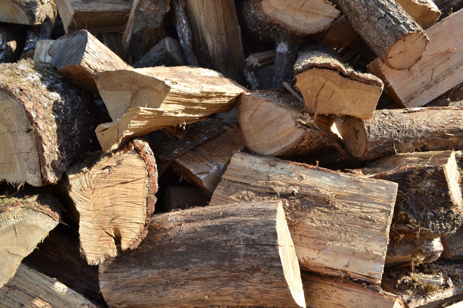Nikon D3100 sample photo. Chocolate yule log, firewood photography