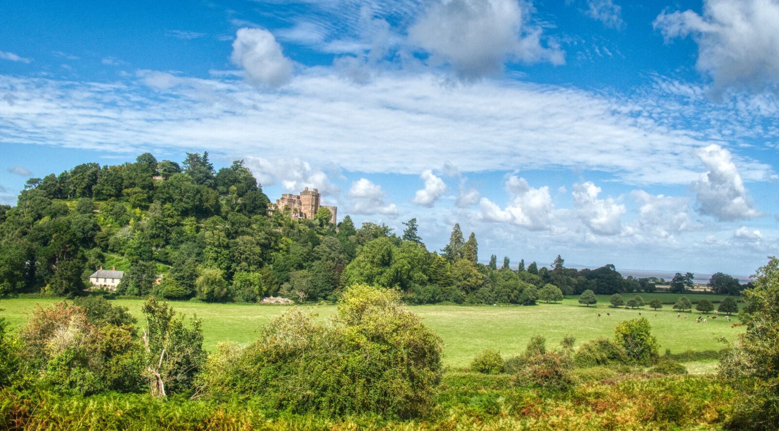 Panasonic DC-TZ200 sample photo. Dunster castle, dunster, castle photography