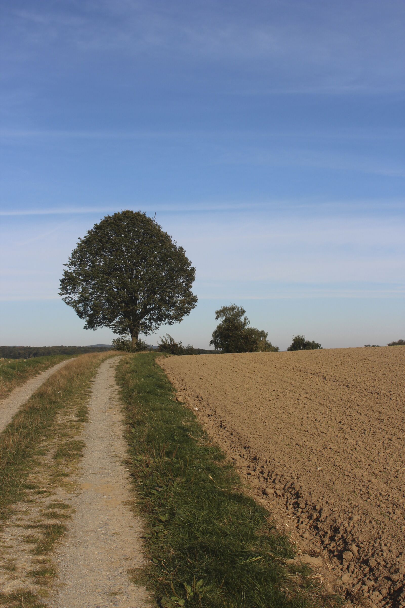 Canon EOS 600D (Rebel EOS T3i / EOS Kiss X5) sample photo. Away, blue sky, landscape photography