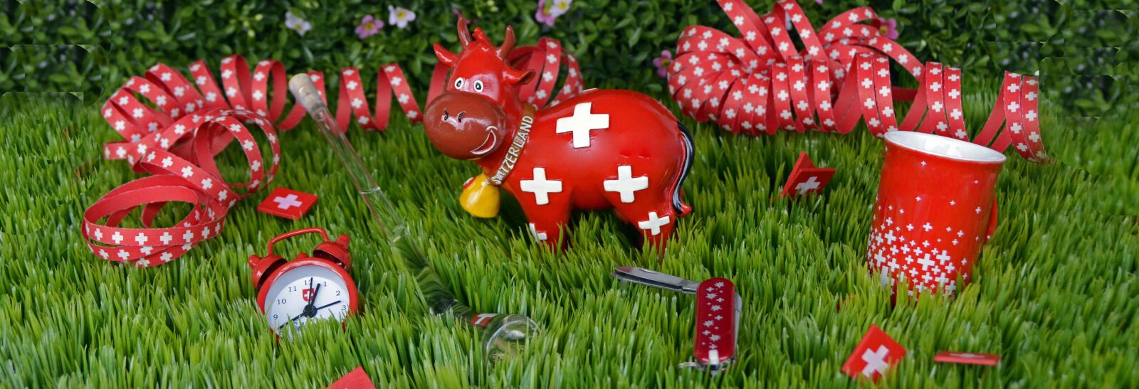 Nikon D7100 sample photo. National day, switzerland, celebrate photography