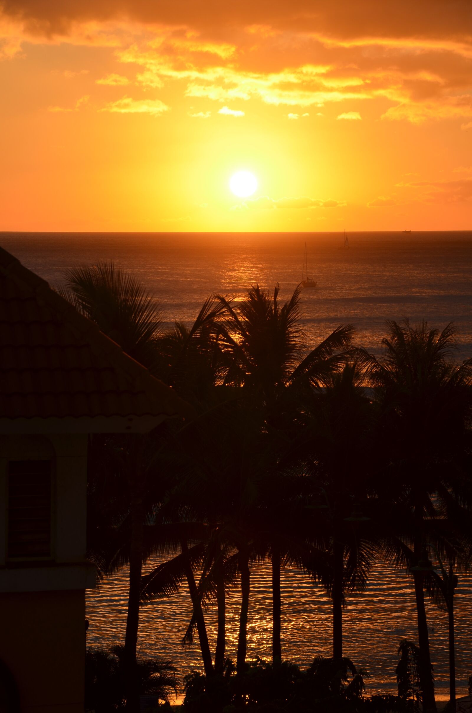 Nikon D5100 sample photo. Sunset, hawaii, palms photography
