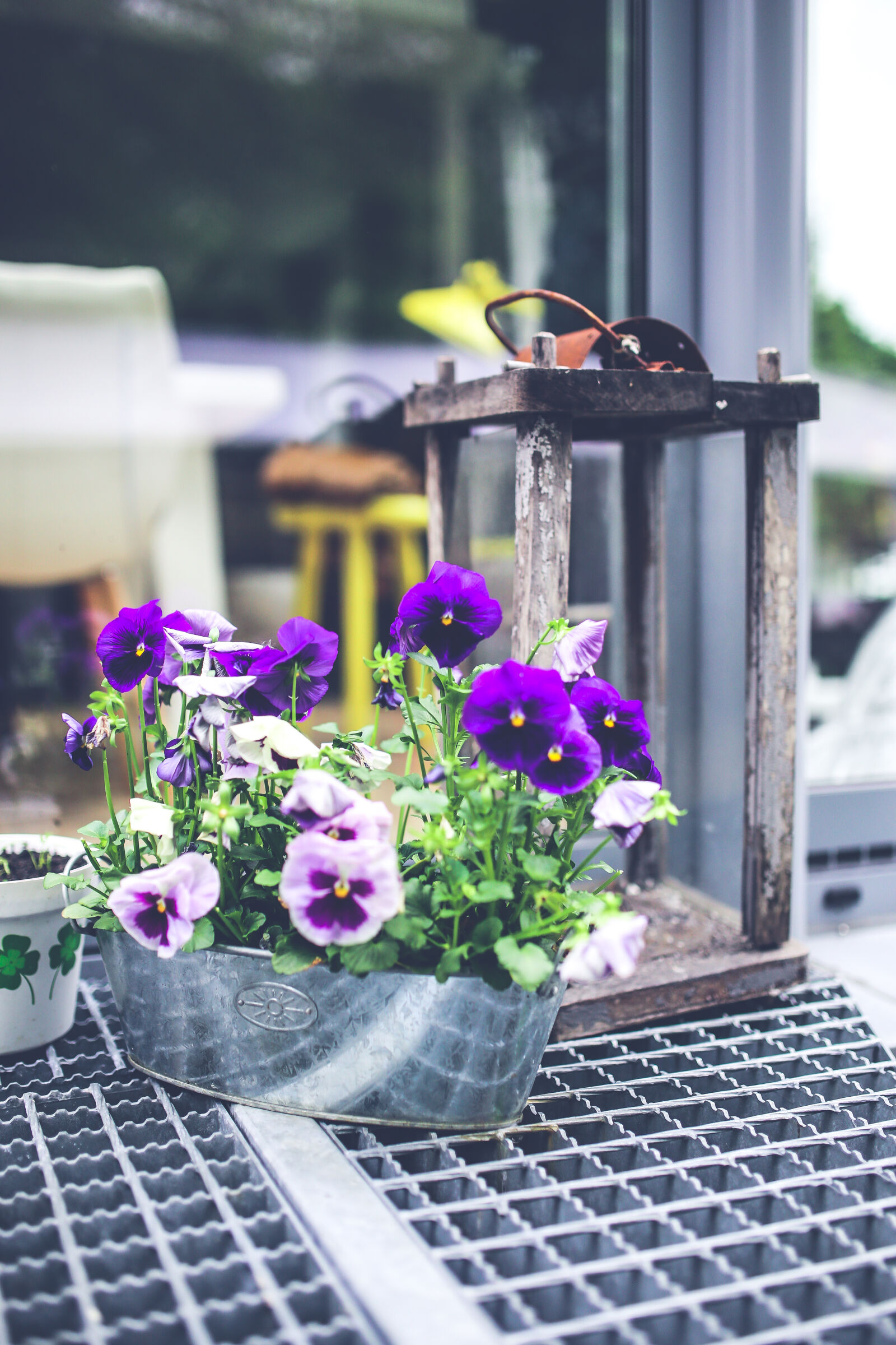 Canon EOS 6D + Sigma 35mm F1.4 DG HSM Art sample photo. Old, lantern, pansies photography