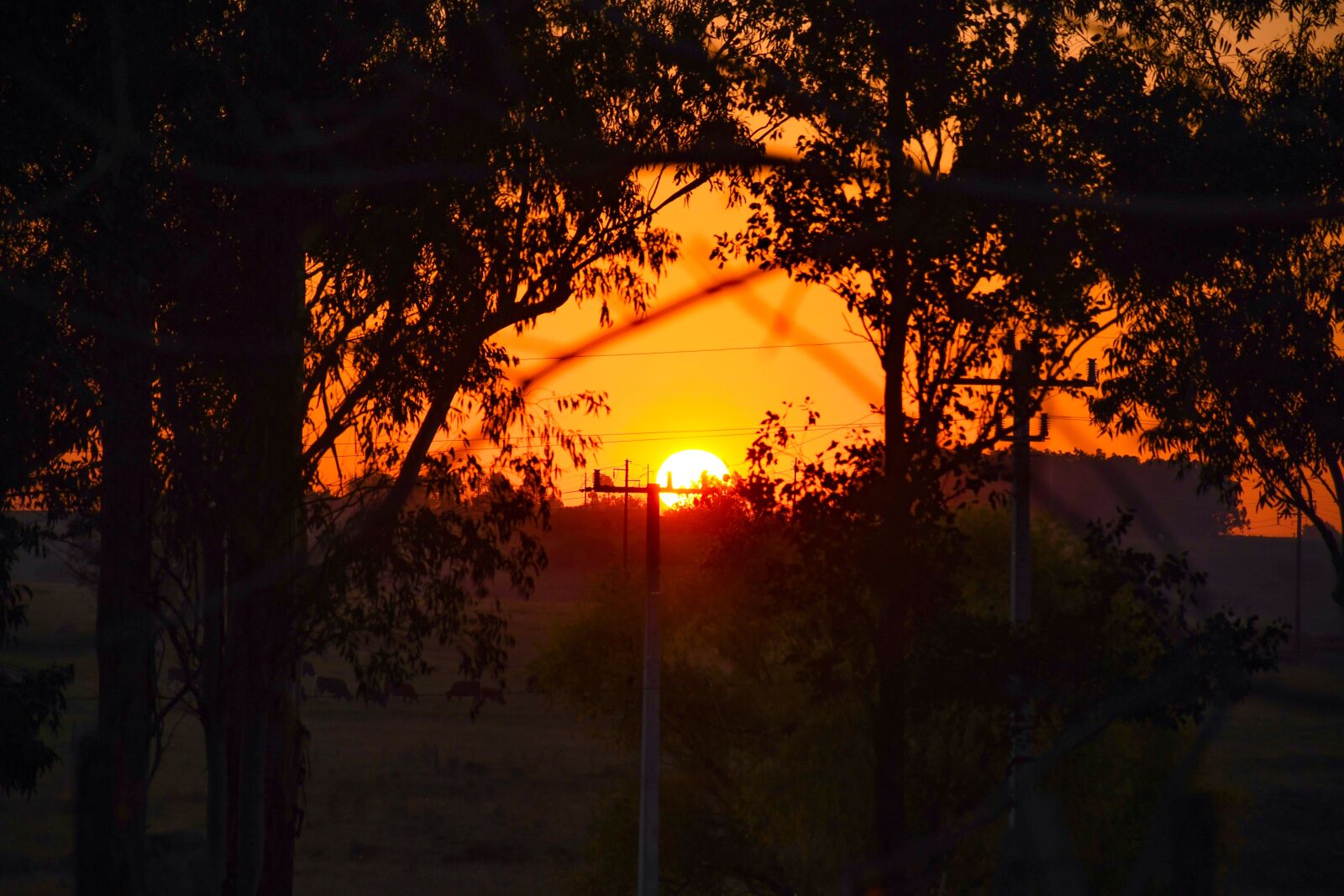 Nikon D7500 sample photo. Sunset, sun, astronomy photography