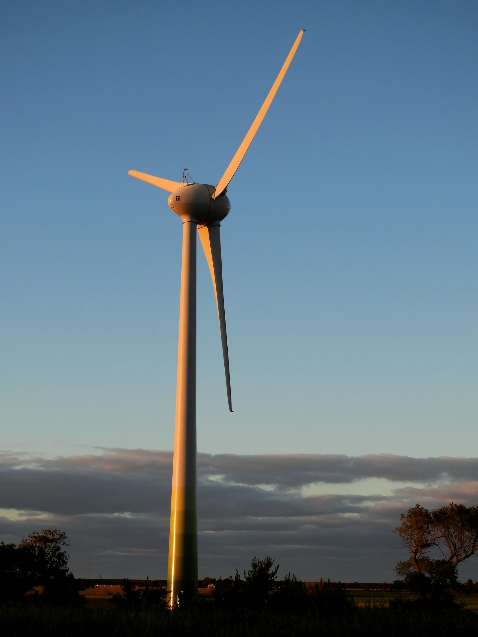 Nikon Coolpix P900 sample photo. Wind, wind power, energy photography