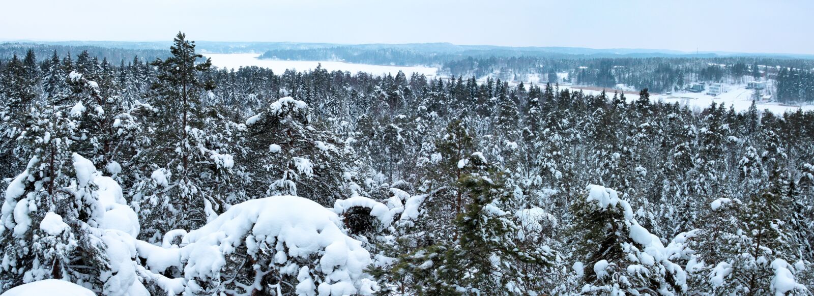 Canon EOS 50D sample photo. Panorama, winter, forest photography