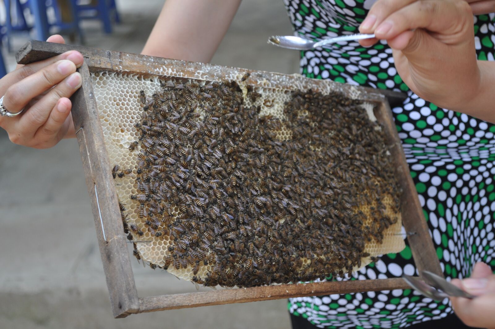 Nikon D5000 sample photo. Honey, beehive, royal jelly photography