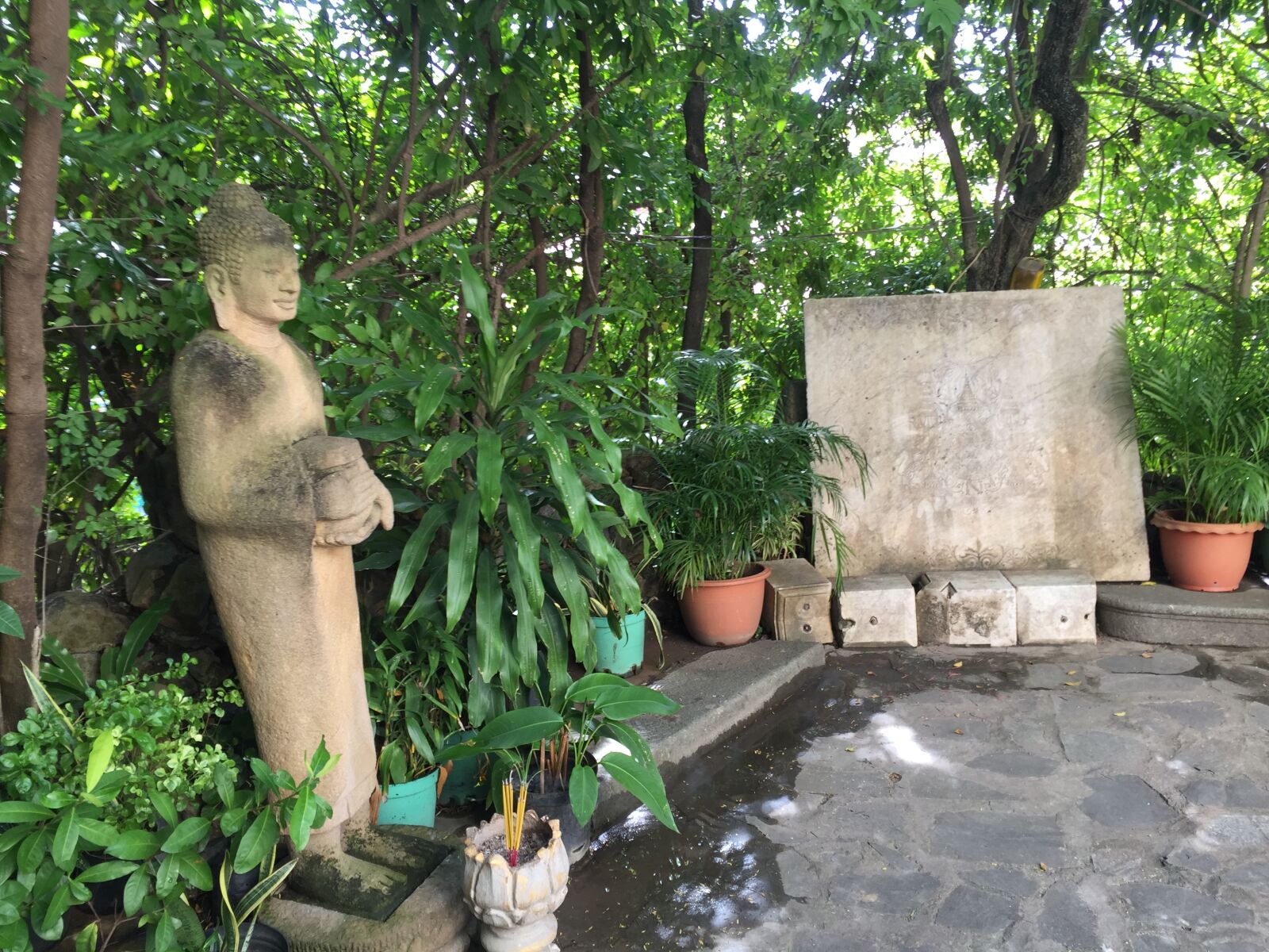 iPhone 6 Plus back camera 4.15mm f/2.2 sample photo. Natural photography