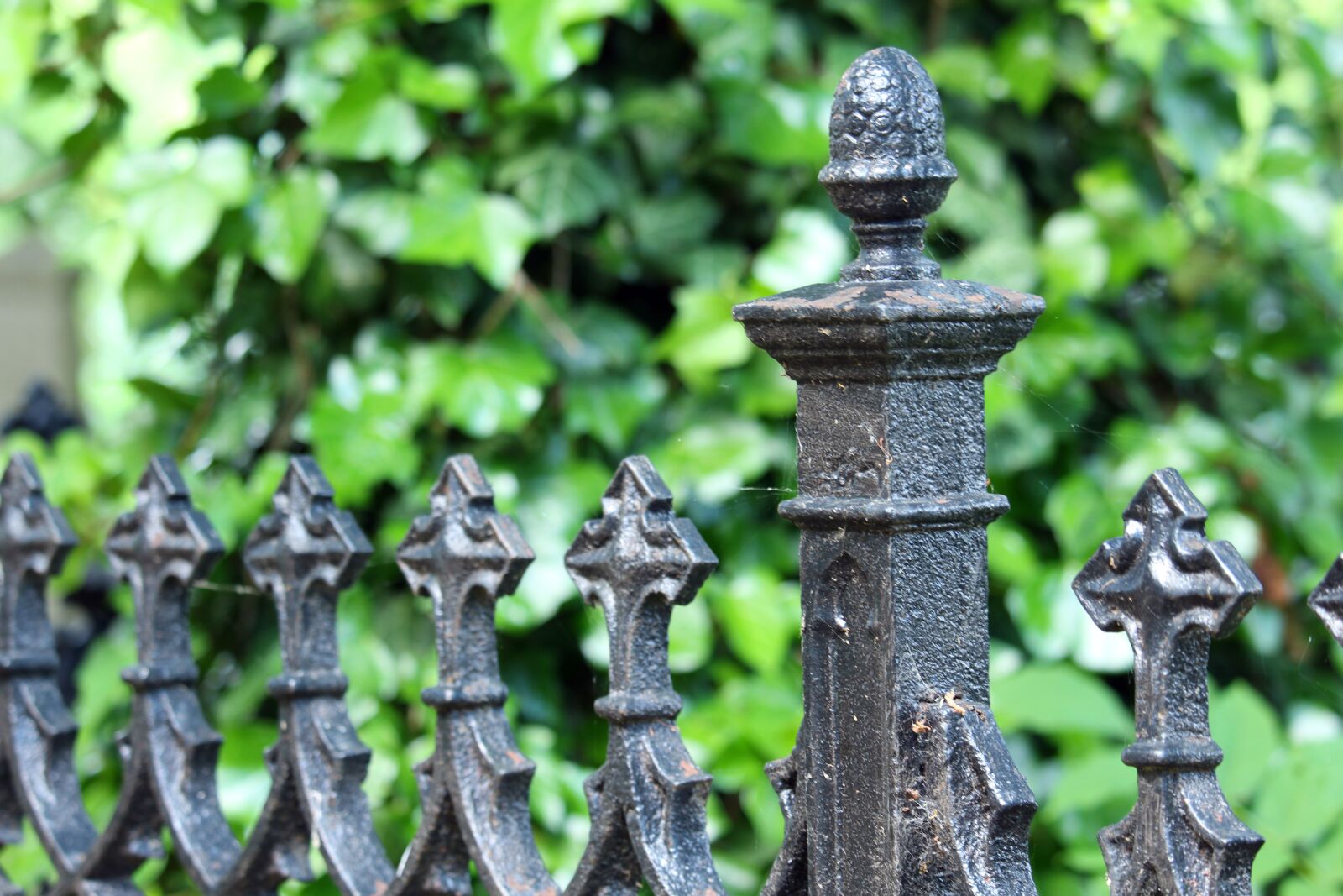 Canon EF-S 55-250mm F4-5.6 IS STM sample photo. Grave, cemetery, iron fence photography