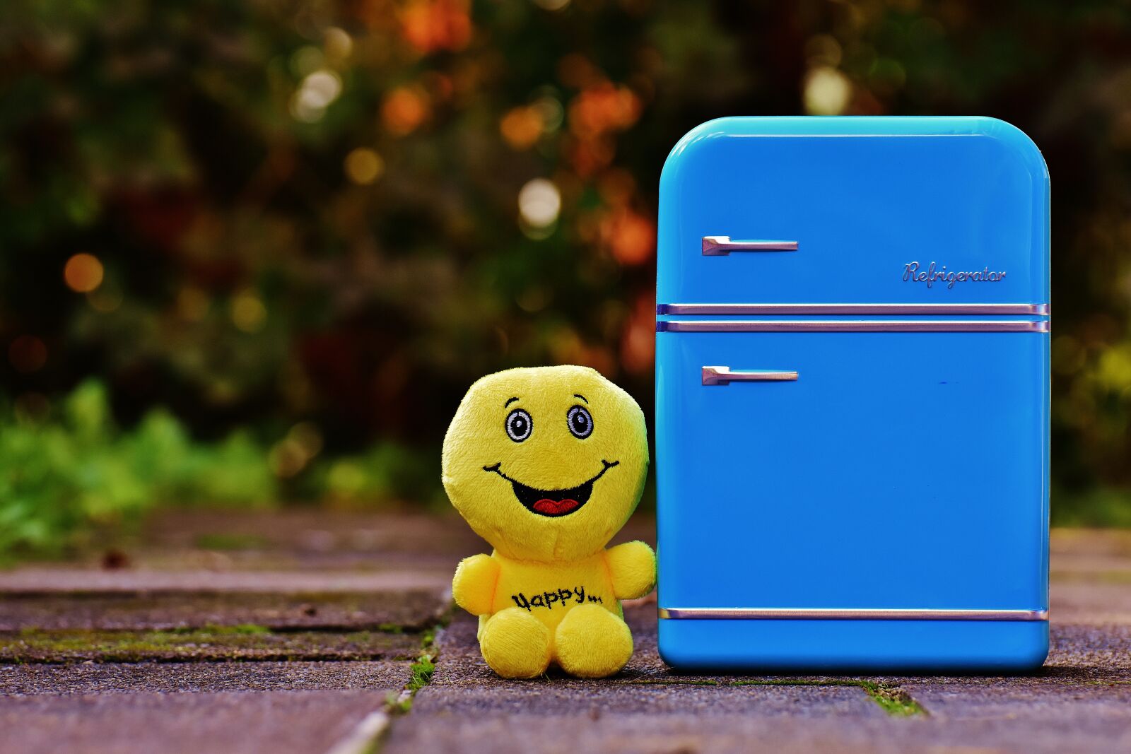 Nikon D7200 sample photo. Full fridge, happy, smiley photography