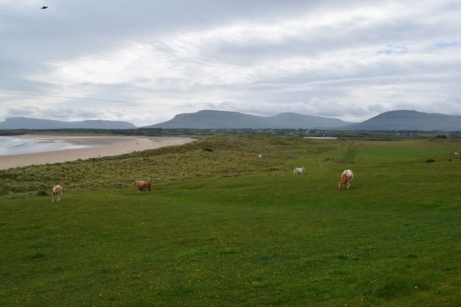 Nikon D5300 sample photo. Landscape, ireland, nature photography