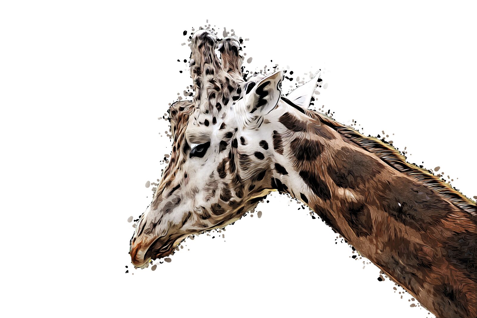 Canon EOS 700D (EOS Rebel T5i / EOS Kiss X7i) sample photo. Giraffe, drawing, animal photography