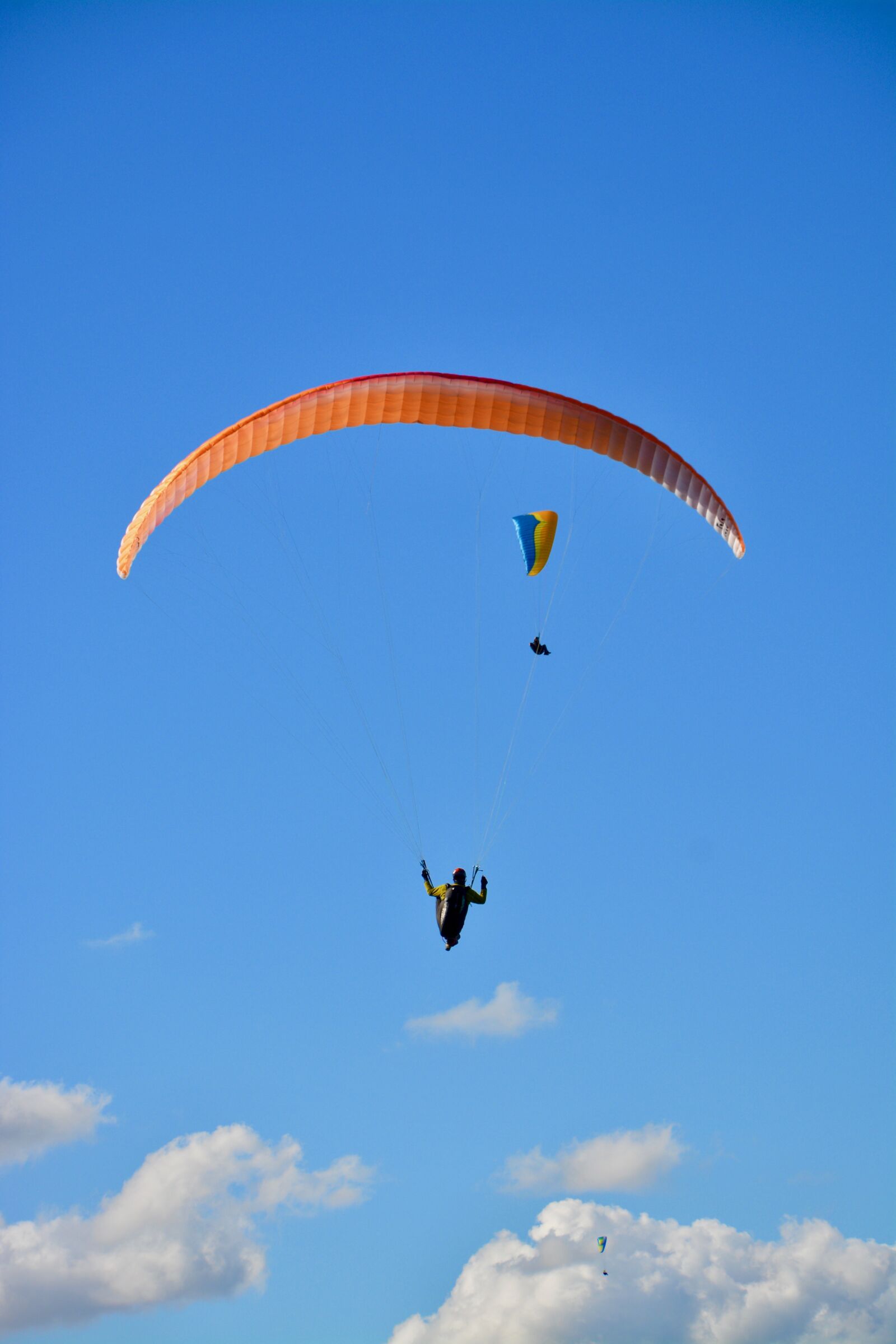 Nikon D5200 sample photo. Paragliding, paraglider, sailing photography