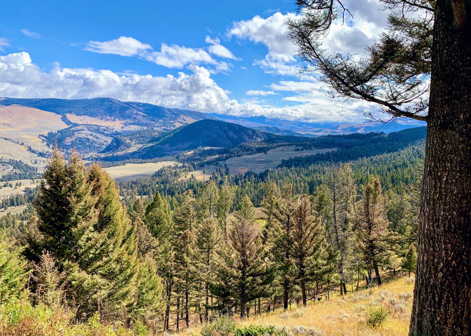 Apple iPhone XS sample photo. Yellowstone, yellowstone national park photography