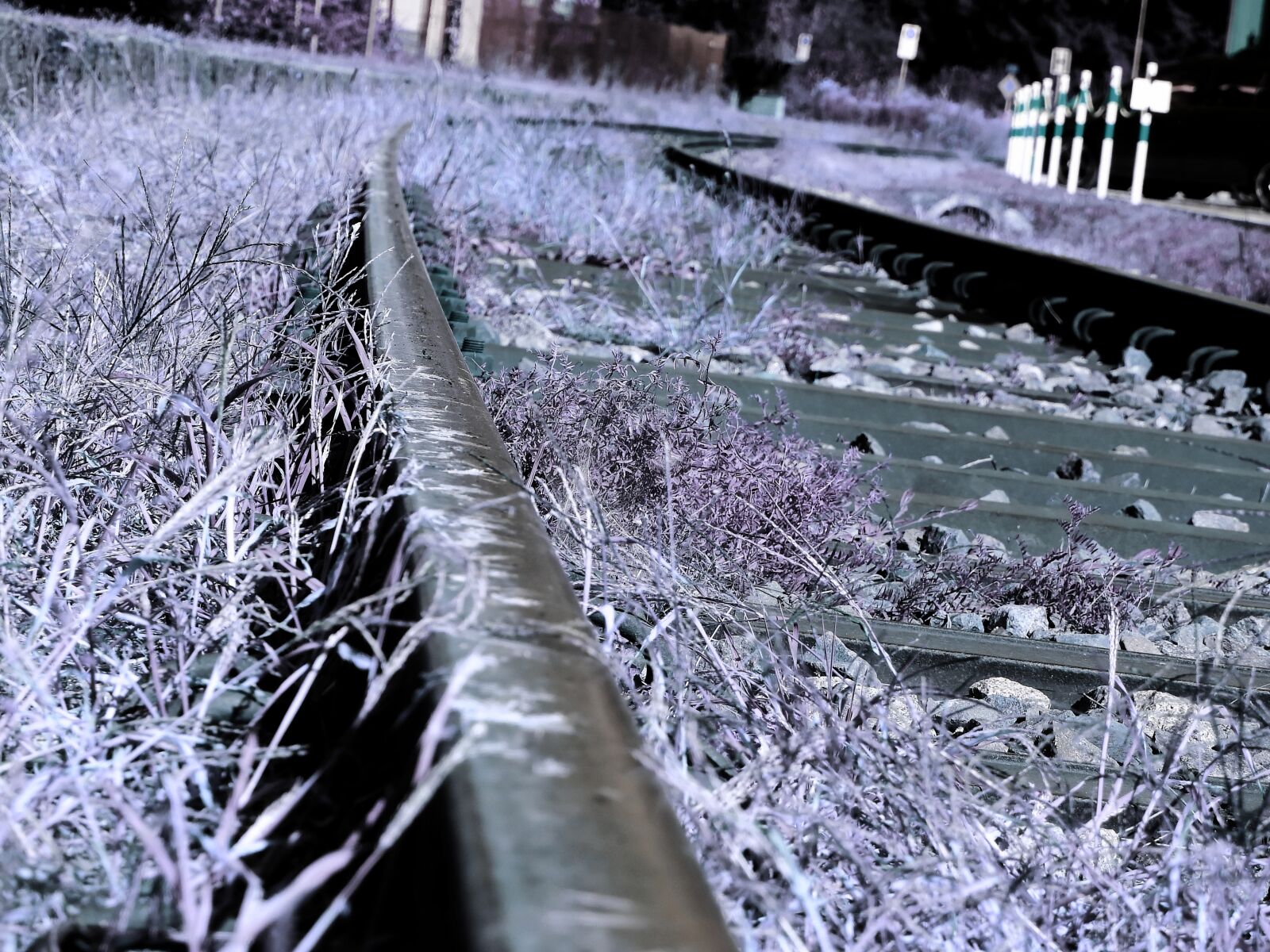 Nikon Coolpix P900 sample photo. Gleise, train, rails photography
