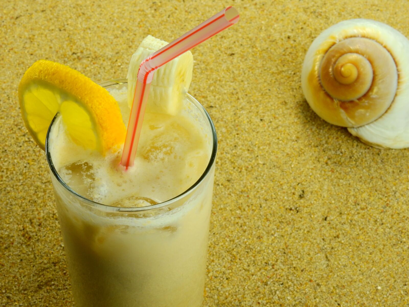 Nikon Coolpix P900 sample photo. Sand, beach, shell photography