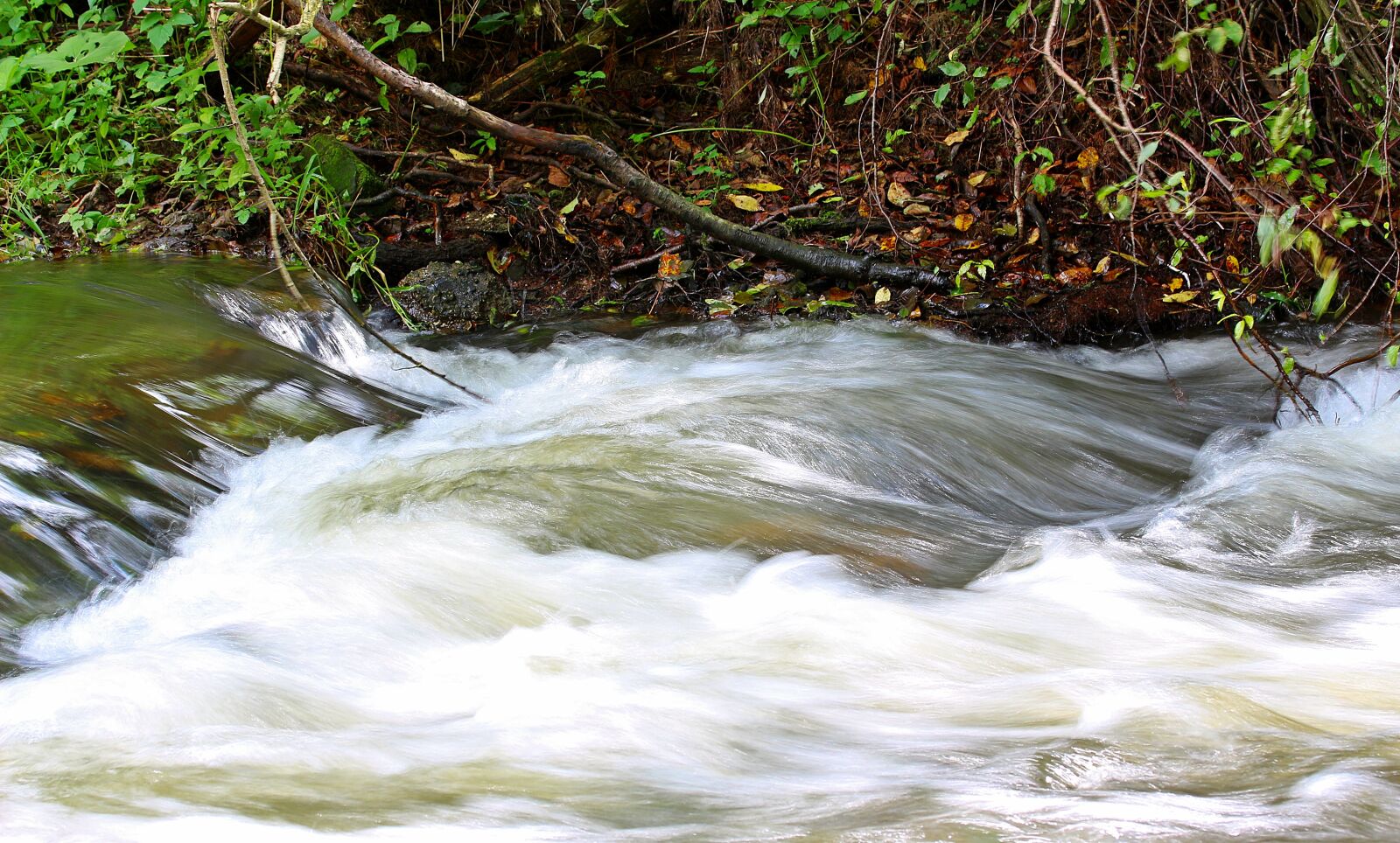 Canon EOS 650D (EOS Rebel T4i / EOS Kiss X6i) sample photo. Water, bach, river photography