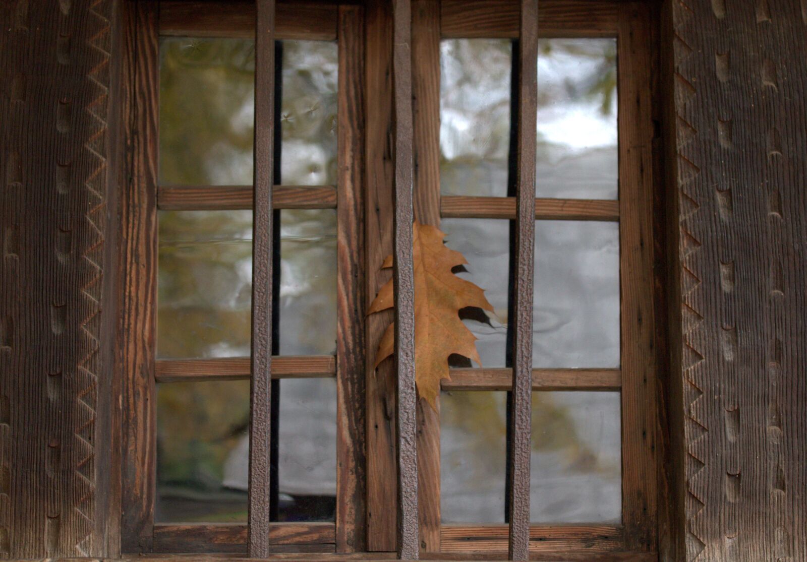 Canon EF-S 60mm F2.8 Macro USM sample photo. Window, leaf, traditional photography