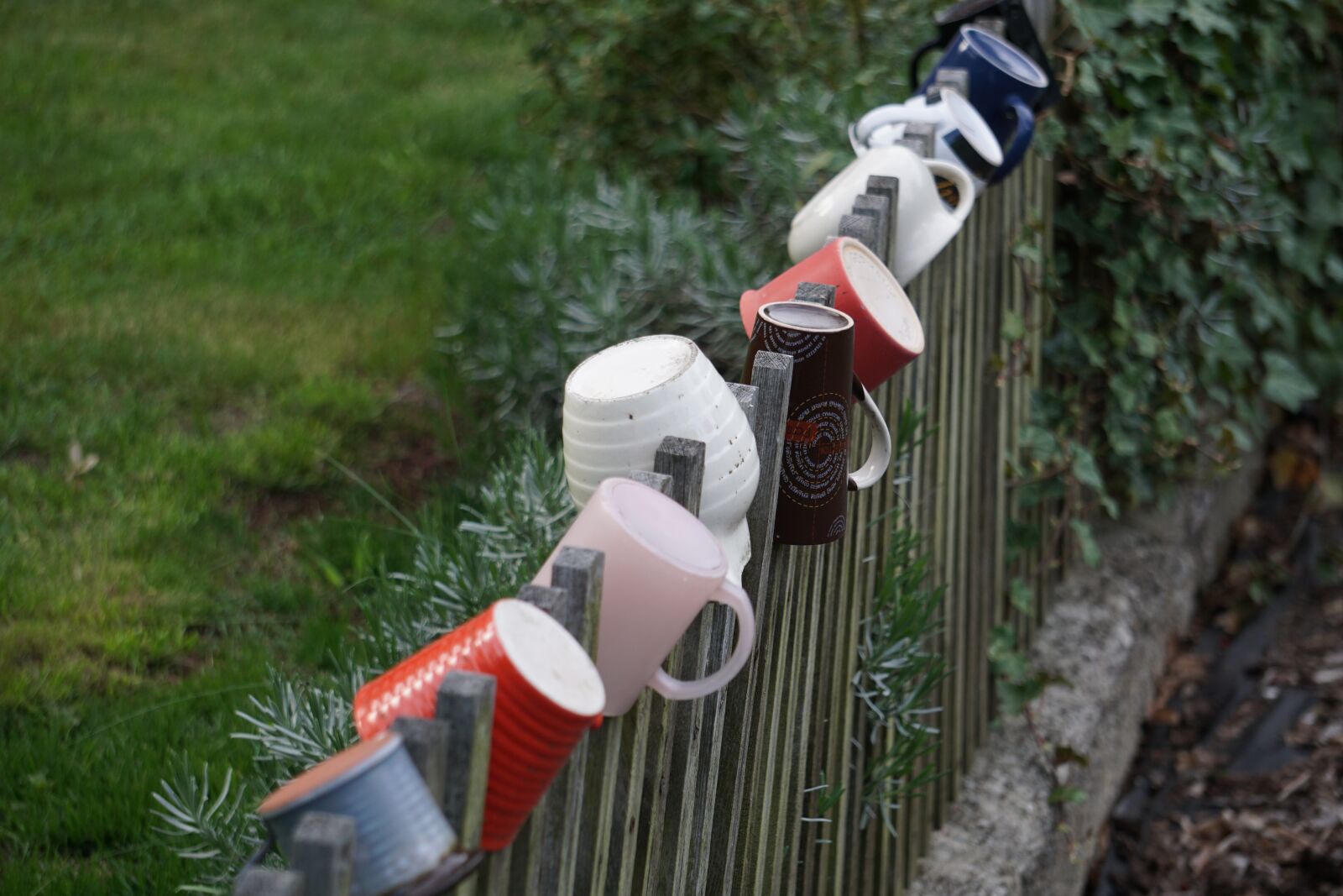 Sony E 55-210mm F4.5-6.3 OSS sample photo. Fence, cup, garden photography