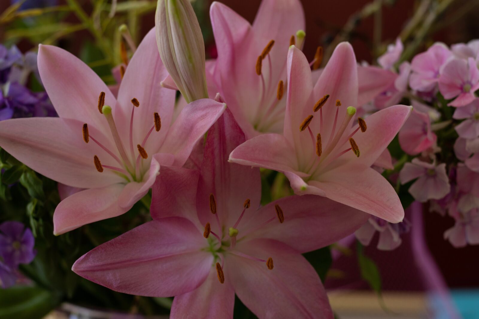 Canon EOS 7D Mark II sample photo. Lily, lilies, pink photography