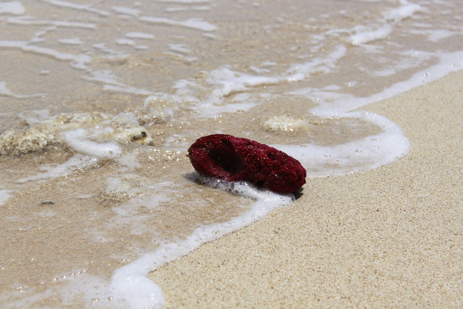Canon EOS 500D (EOS Rebel T1i / EOS Kiss X3) sample photo. Sand, beach, body of photography