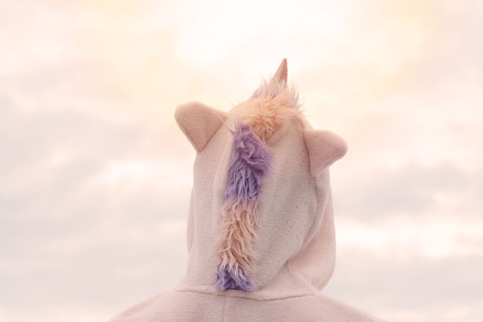 Nikon D7100 sample photo. Unicorn, sky, costume photography