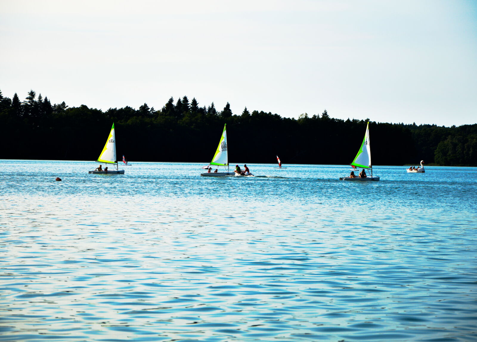 Nikon D3200 sample photo