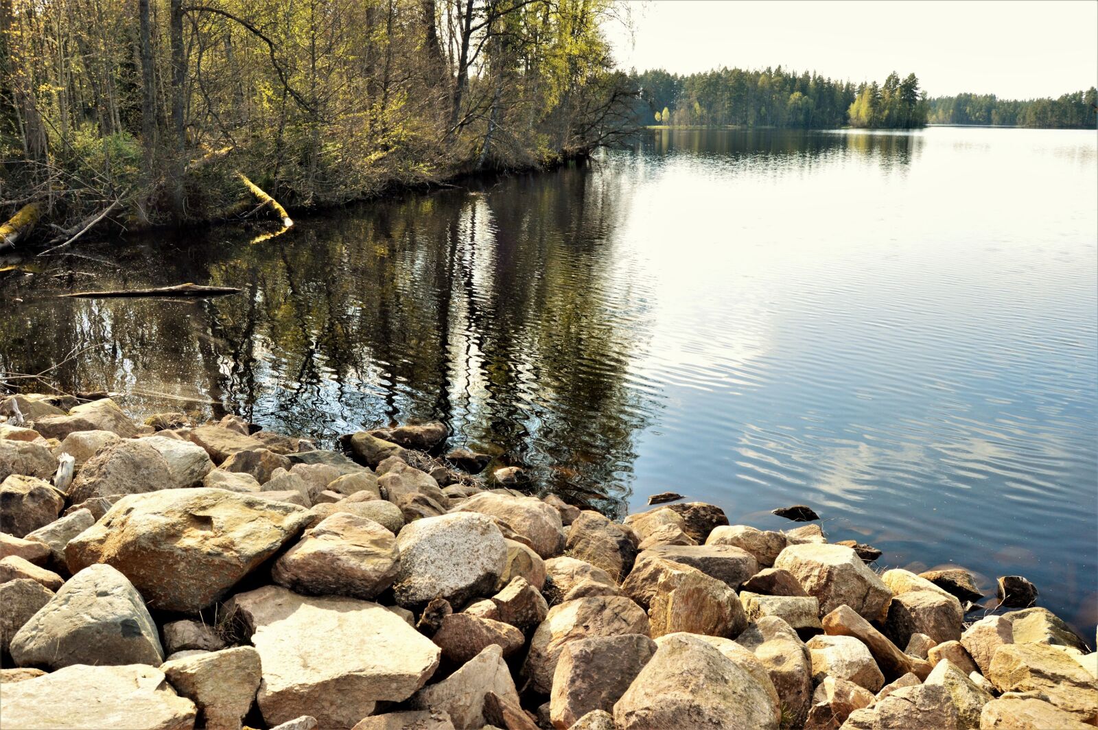 Nikon D3200 sample photo. Daytime, forest, lake, nature photography