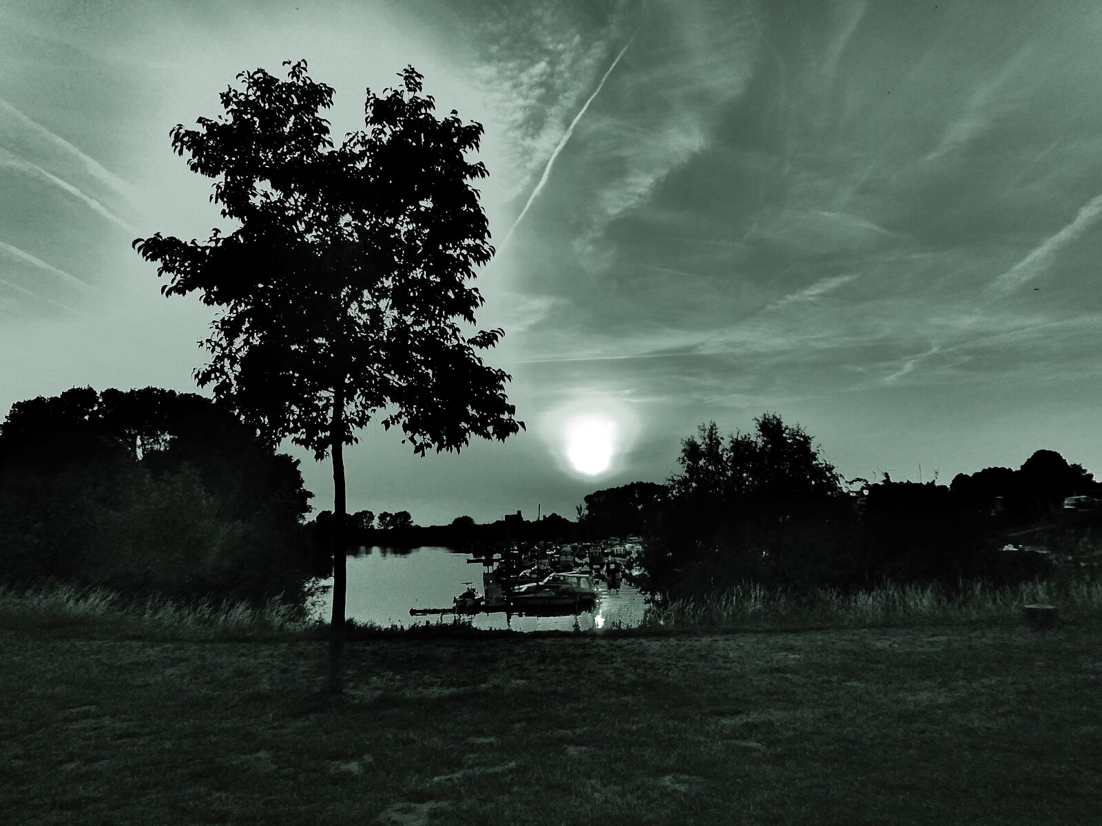 Panasonic DC-TZ91 sample photo. Tree, trees, nature photography
