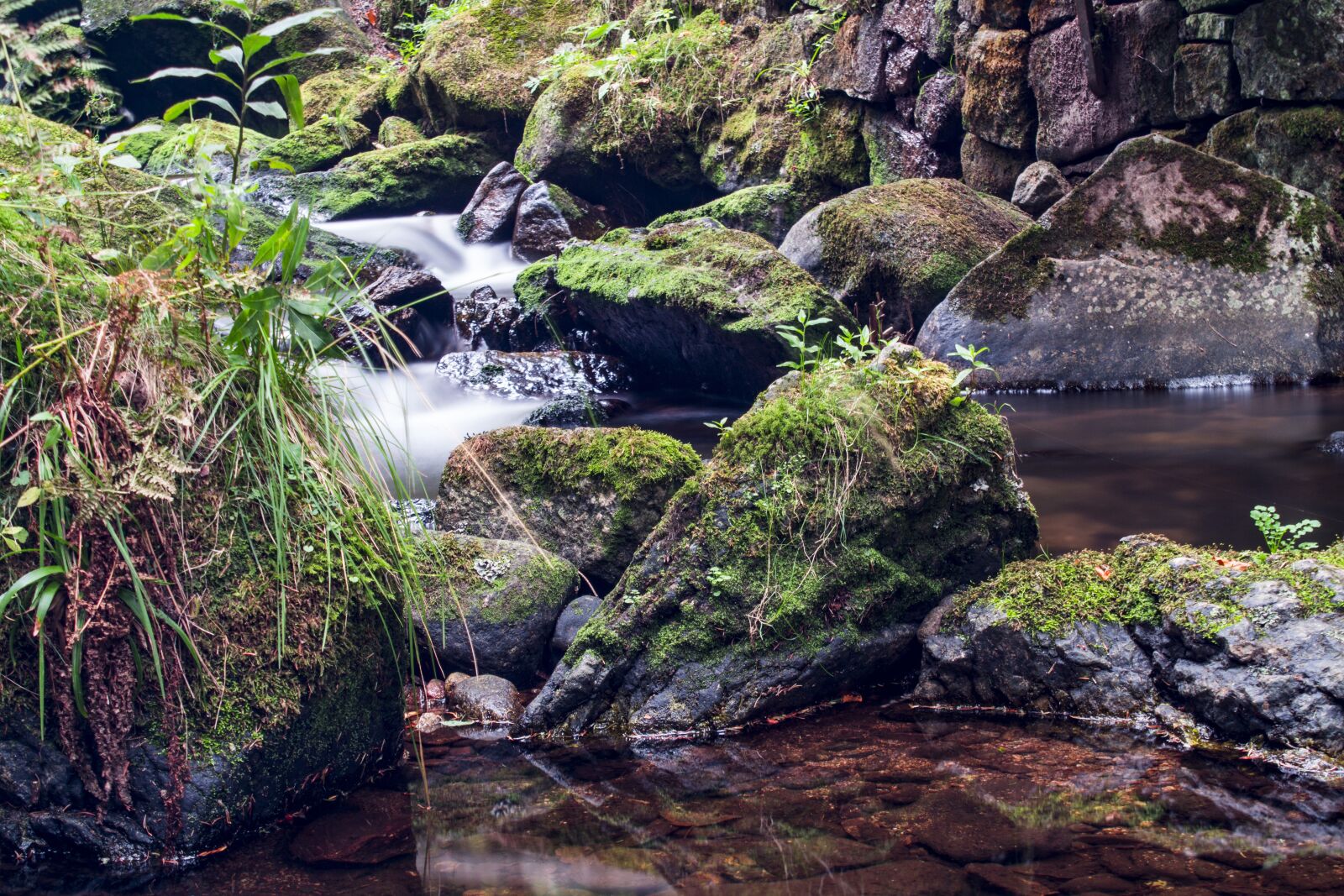 Canon EOS 700D (EOS Rebel T5i / EOS Kiss X7i) sample photo. Waters, nature, river photography