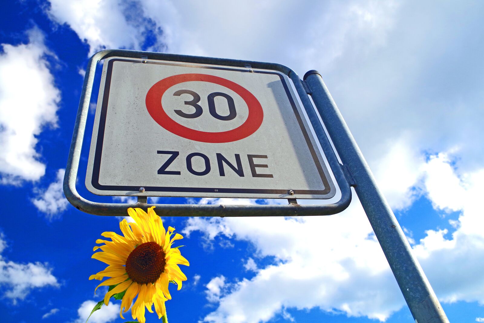 Pentax K-S2 sample photo. Zone 30, sunflower, traffic photography