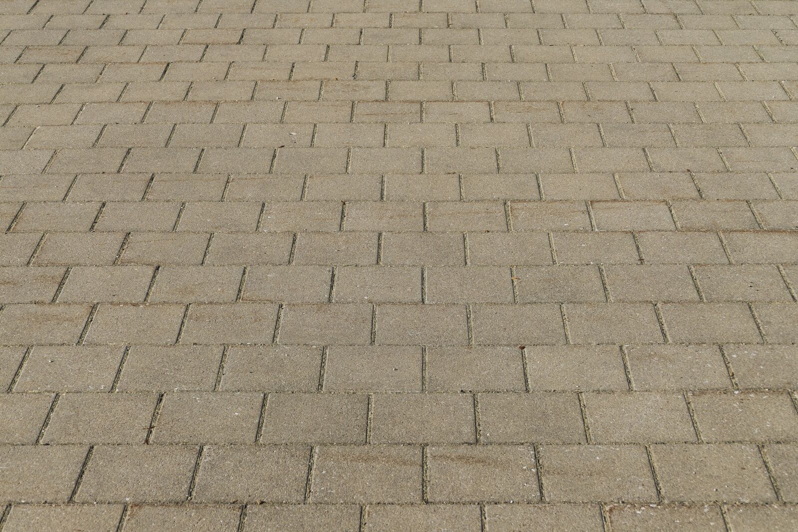 Panasonic Lumix DMC-FZ1000 sample photo. Patch, flooring, paving stones photography