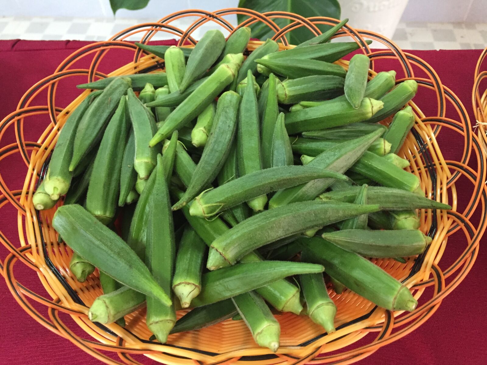 Apple iPhone 6 sample photo. Beans, muscles, green photography