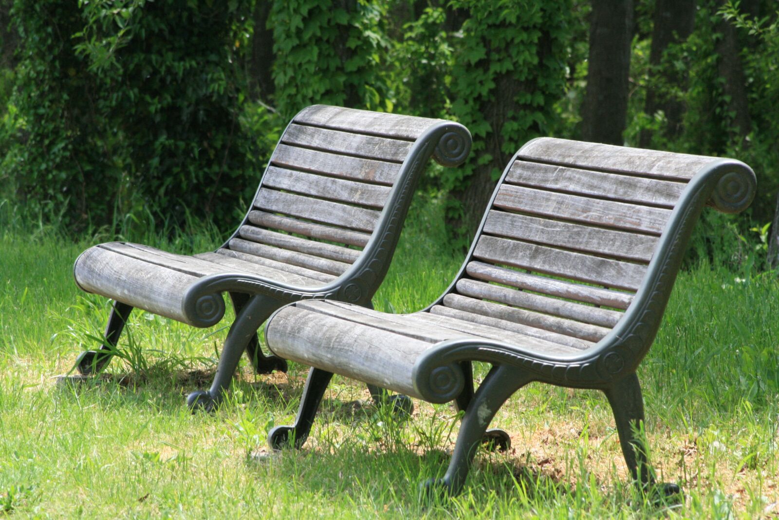 Canon EOS 400D (EOS Digital Rebel XTi / EOS Kiss Digital X) sample photo. Landscape, chair, park photography