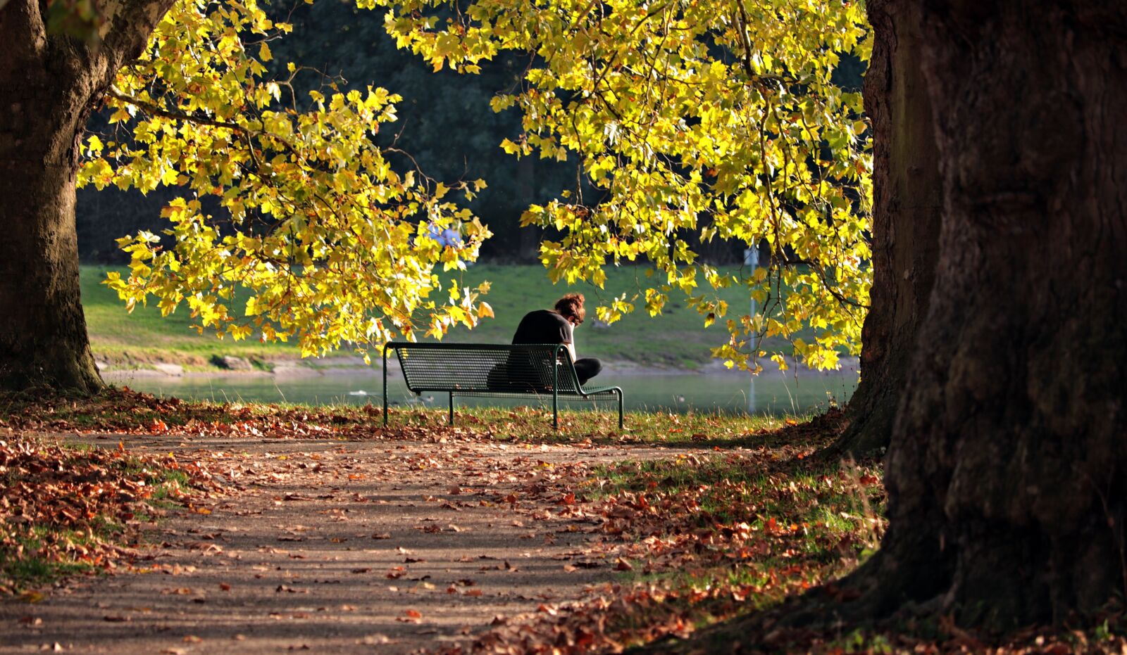 Canon EF-S 55-250mm F4-5.6 IS STM sample photo. Read, park, bank photography