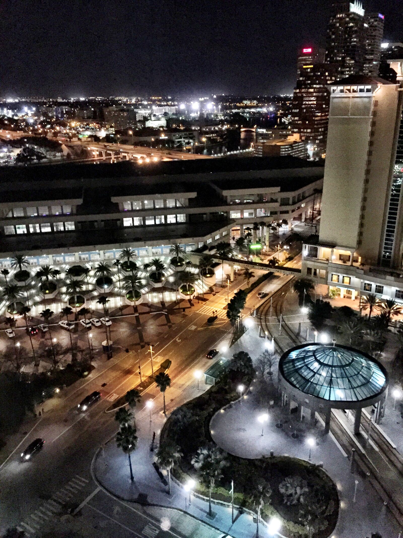 Apple iPhone 6 sample photo. Tampa photography
