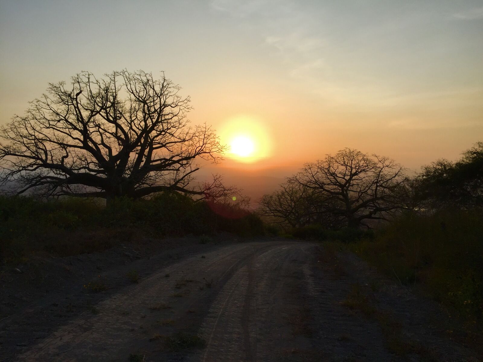 iPhone 6 Plus back camera 4.15mm f/2.2 sample photo. Sunset, setting sun, cycling photography