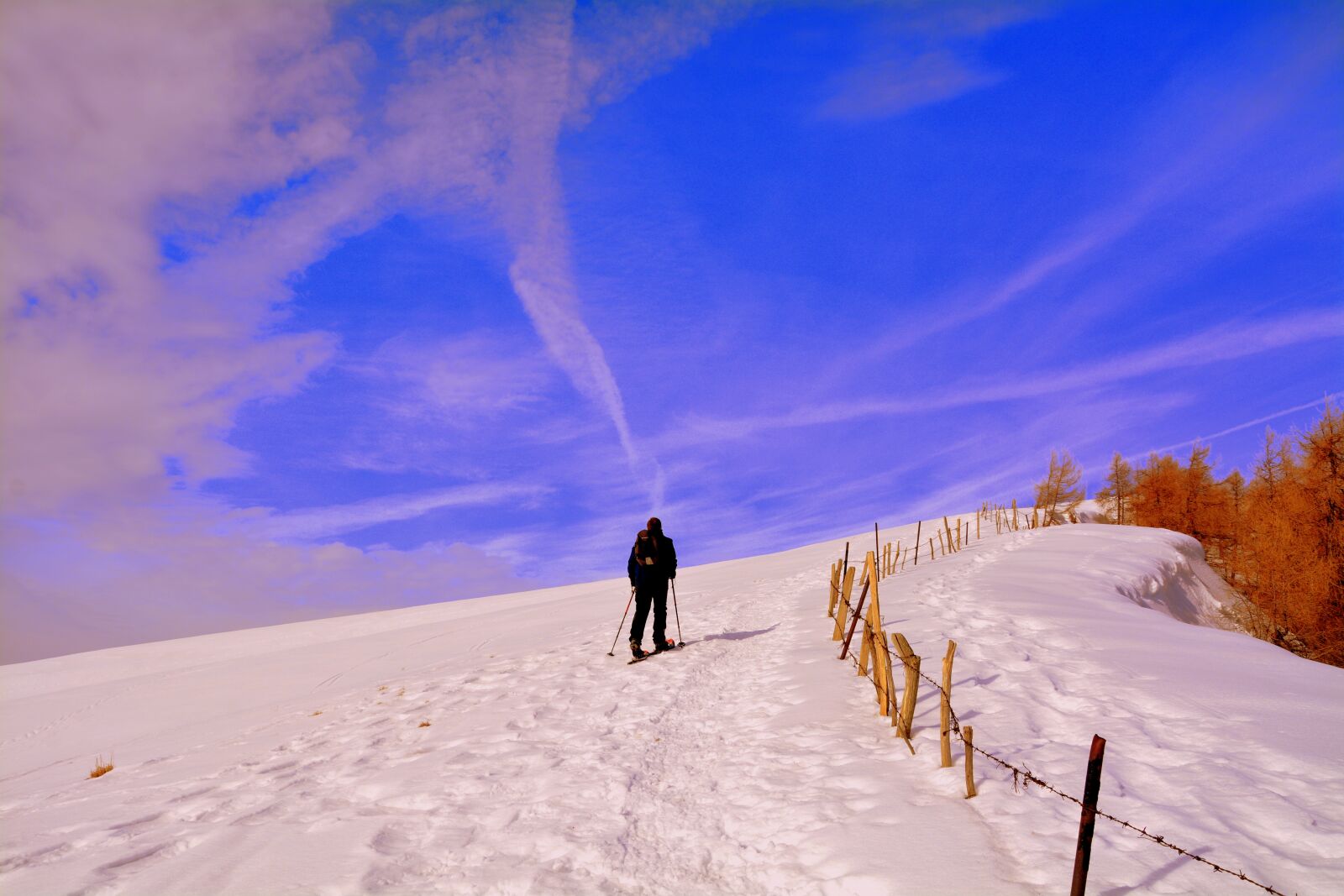 Nikon D7100 sample photo. Snow, winter, cold photography