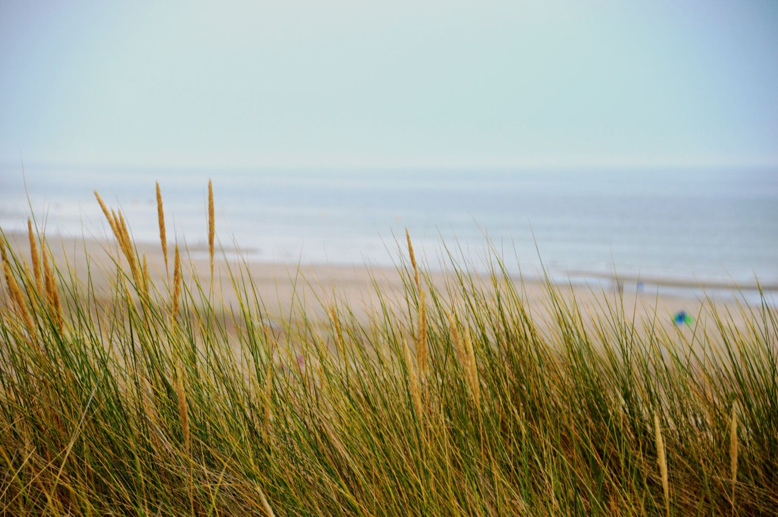 Nikon D3200 sample photo. Sea, beach, stella beach photography